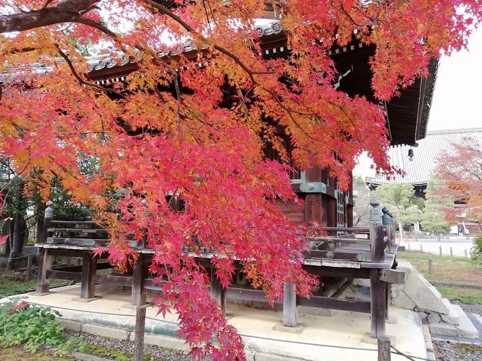 清凉寺の紅葉